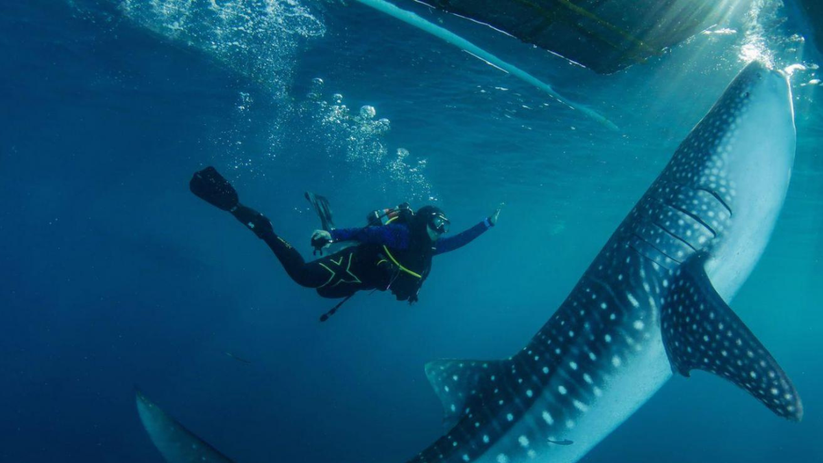 Rekomendasi wisata Gorontalo. Foto: jadesta.kemenparekraf.go.id