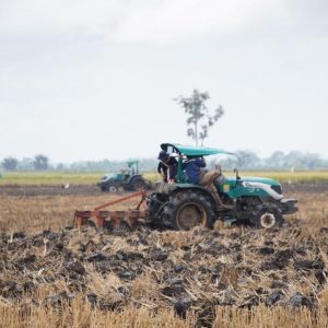 Brigade Pangan Dapat Kucuran Dana 30 Triliun, Kementan Jelaskan Perhitungan Pendapatan 