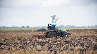 Brigade Pangan Dapat Kucuran Dana 30 Triliun, Kementan Jelaskan Perhitungan Pendapatan 