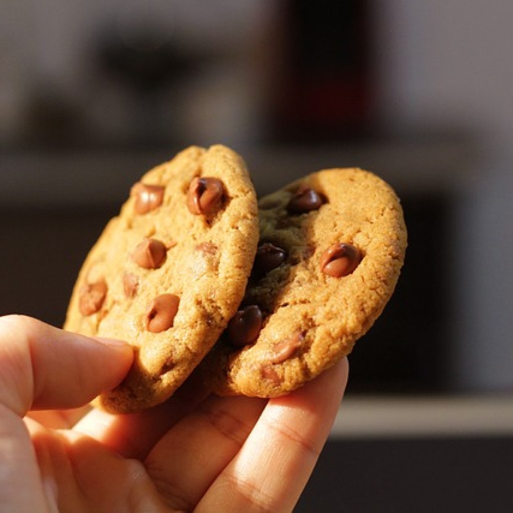 Arti notifikasi pop-up this site uses cookies saat buka web. Foto: pixabay.com/giovannibiagini