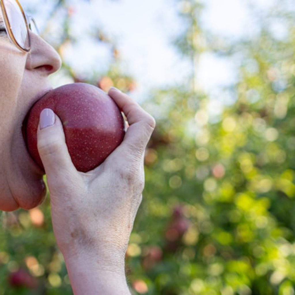 Makanan yang bisa mengurangi bau badan. Foto: unsplash.com/jccards