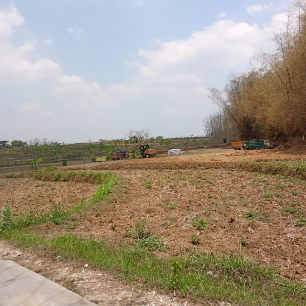 Aktivitas galian C embel-embel pemerataan lahan sawah di Blora. Foto: Dok. Lilik Yuliantoro