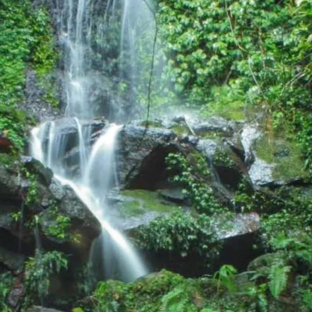 Rekomendasi wisata alam di Bogor. Foto: instagram.com/kementerianlhk
