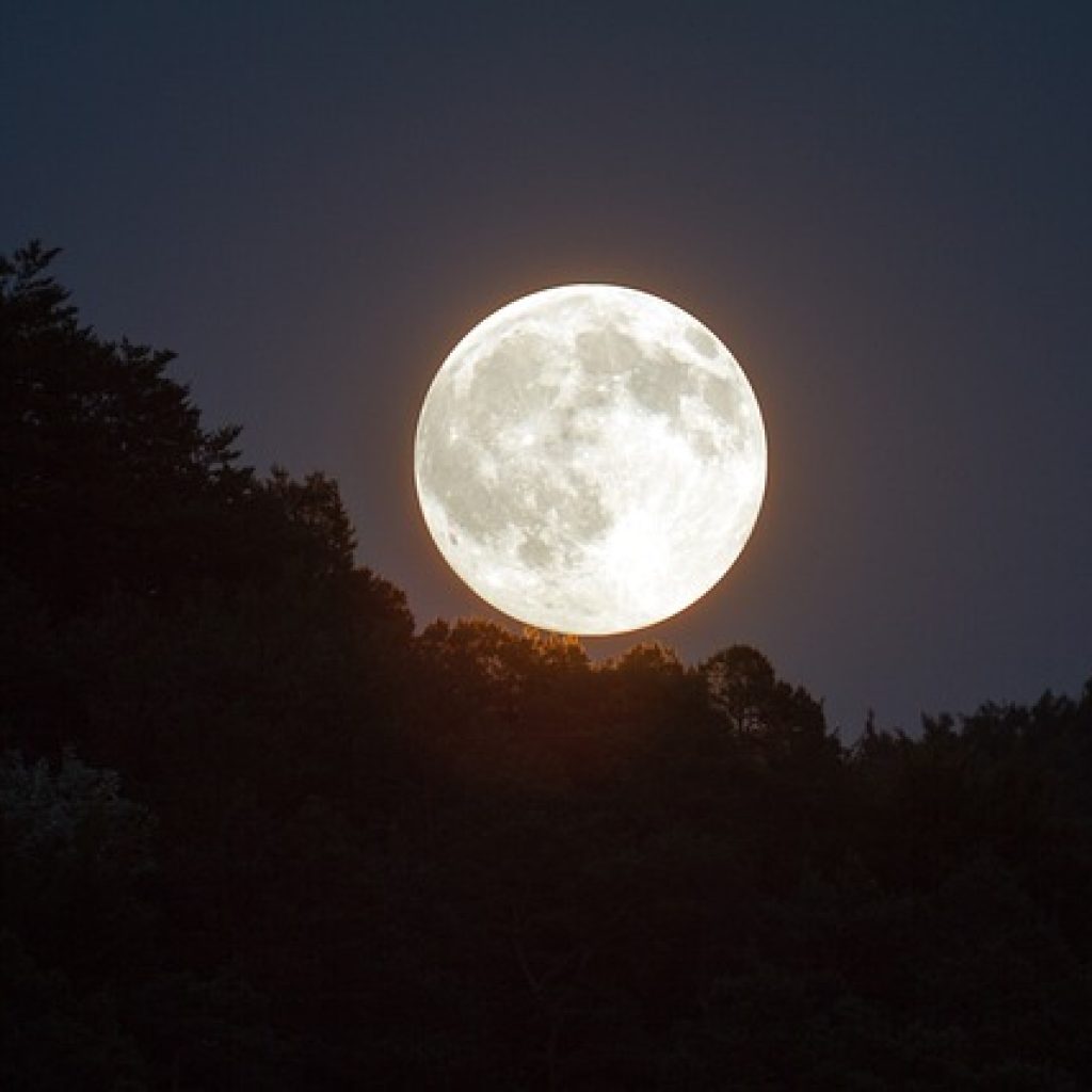 Fenomena bulan purnama Hunter’s Moon yang akan hadir tahun 2024. Foto: pixabay.com/kasabubu