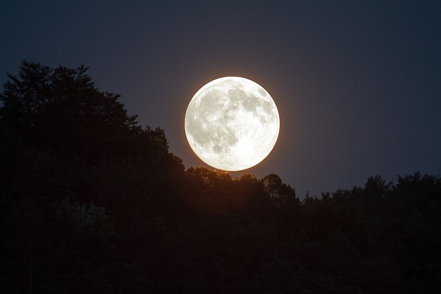 Fenomena bulan purnama Hunter’s Moon yang akan hadir tahun 2024. Foto: pixabay.com/kasabubu