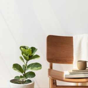 5 Rekomendasi Buku Terbaik untuk Memulai Hidup Minimalis