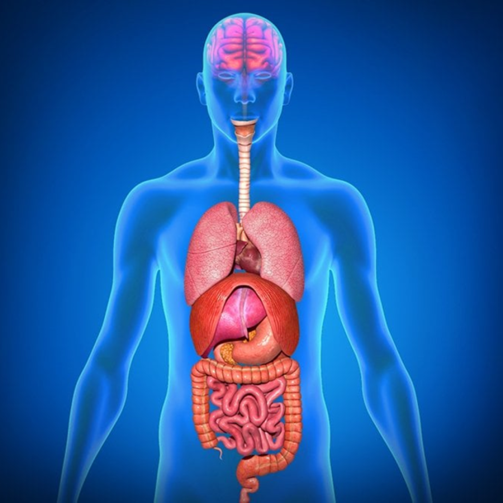 Foto: scienceabc.com.