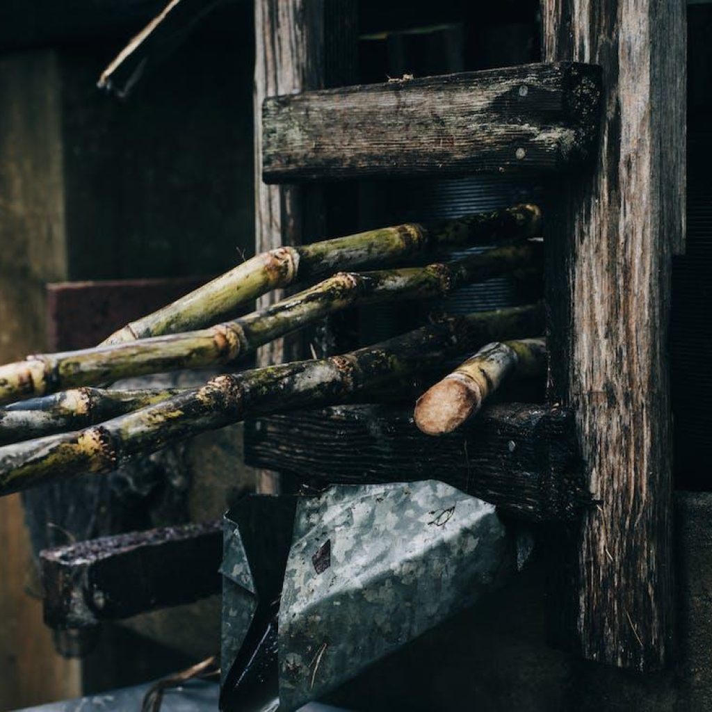 Kementan upayakan swasembada gula nasional terwujud. FOTO: Pexels.com/Adrienne Andersen