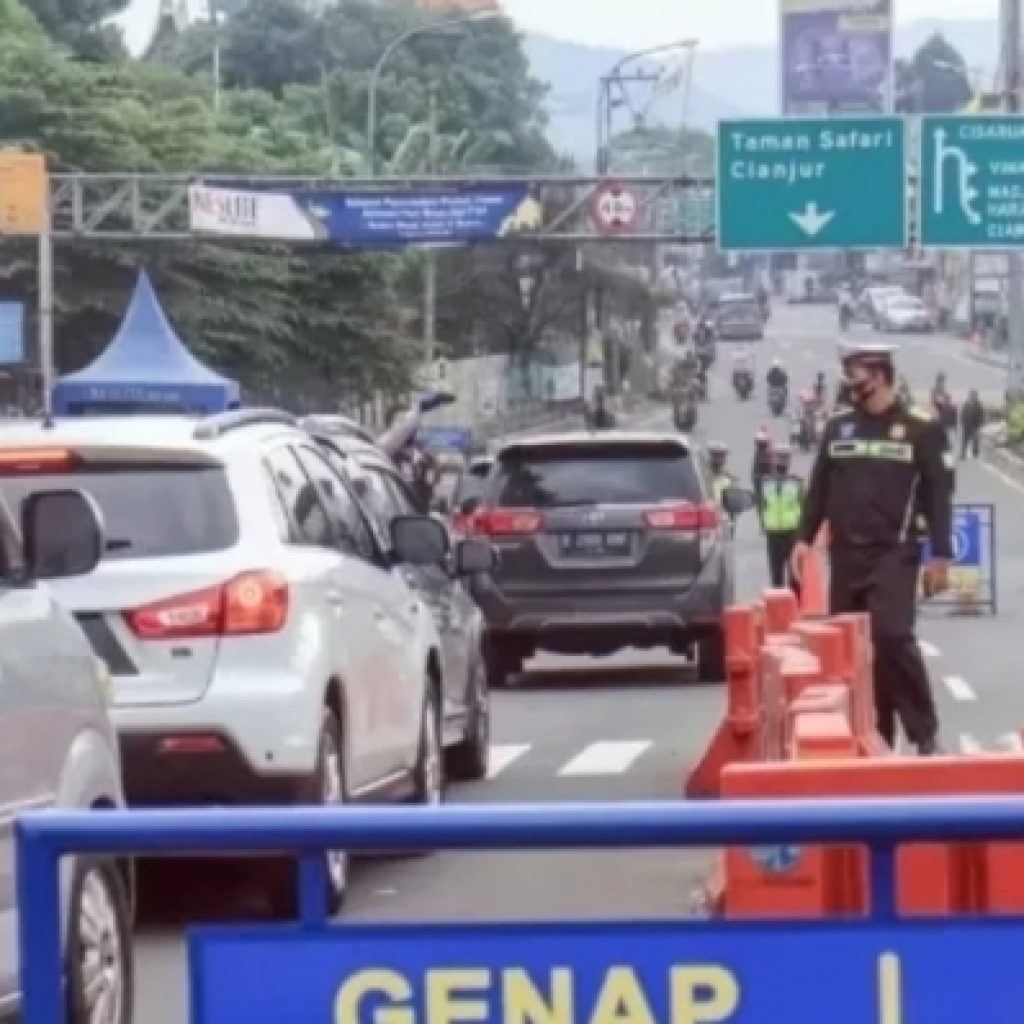 Wacana Kemenhub untuk menyediakan bus gratis di Puncak saat Nataru. Foto: PMJNews