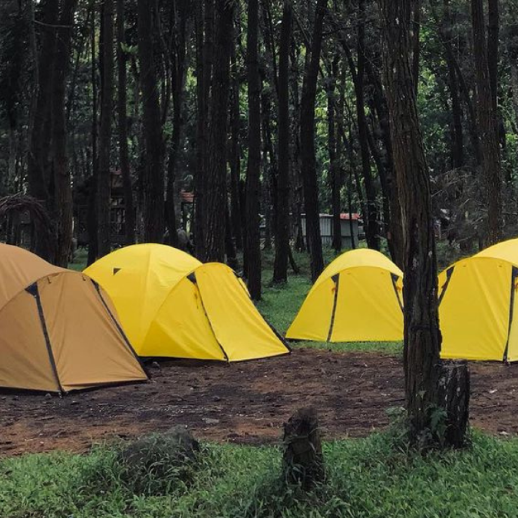 Rekomendasi destinasi wisata Lumajang. Foto: instagram.com/calandraoutdoorrent