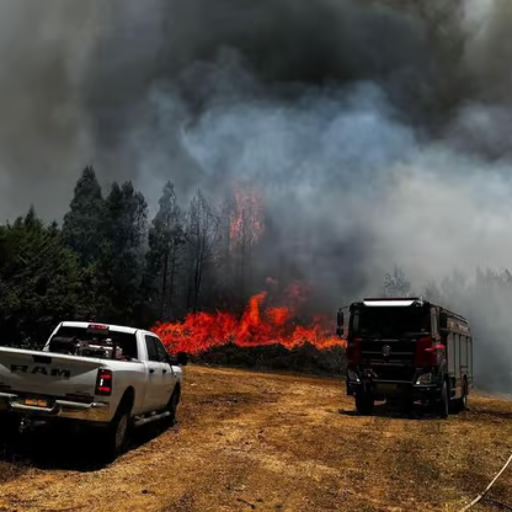 Sebagian besar wilayah Galilea Barat di Israel Utara dilanda kebakaran hutan. Foto: x.com/VerminusM