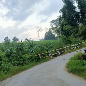 Ruas Jembatan Dinilai Sempit, Warga Blora Berharap Ada Perluasan Demi Tingkatkan Keamanan dan Ekonomi