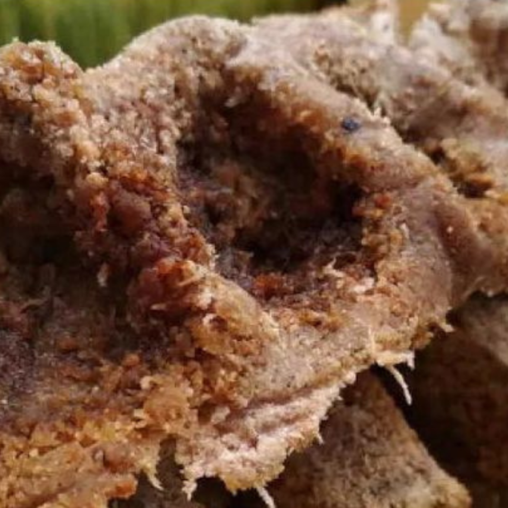 Rekomendasi makanan khas Ambon. Foto: instagram.com/triindonesia