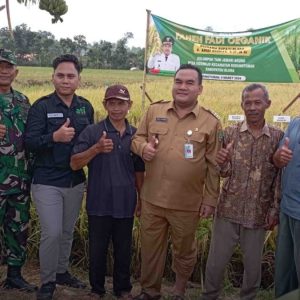 DP4 Blora: Kurangnya Bahan Organik Jadi Penyebab Terjadinya Gagal Panen di Kecamatan Kedungtuban