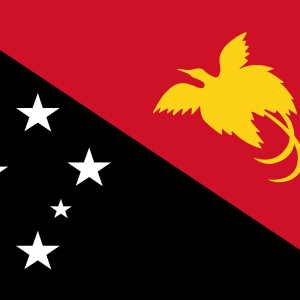 Tragedi Tanah Longsor Papua Nugini Memakan 2000 Korban Jiwa, Indonesia hingga Amerika Berikan Bantuan