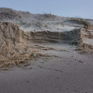 5 Dampak Ekspor Pasir Laut: Keuntungan Ekonomi yang Mengancam Lingkungan