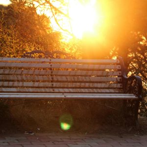 Suhu Semarang Tembus 36 Derajat, BMKG Imbau Warga Hindari Aktivitas Luar Ruangan