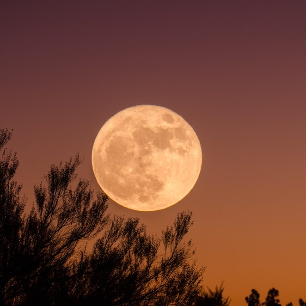 Ilustrasi. Foto: Unsplash.
