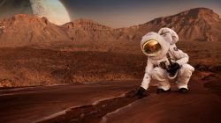 Akan ada pohon di Mars, ini cara ilmuwan menanamnya. Foto: freepik.com/freepik