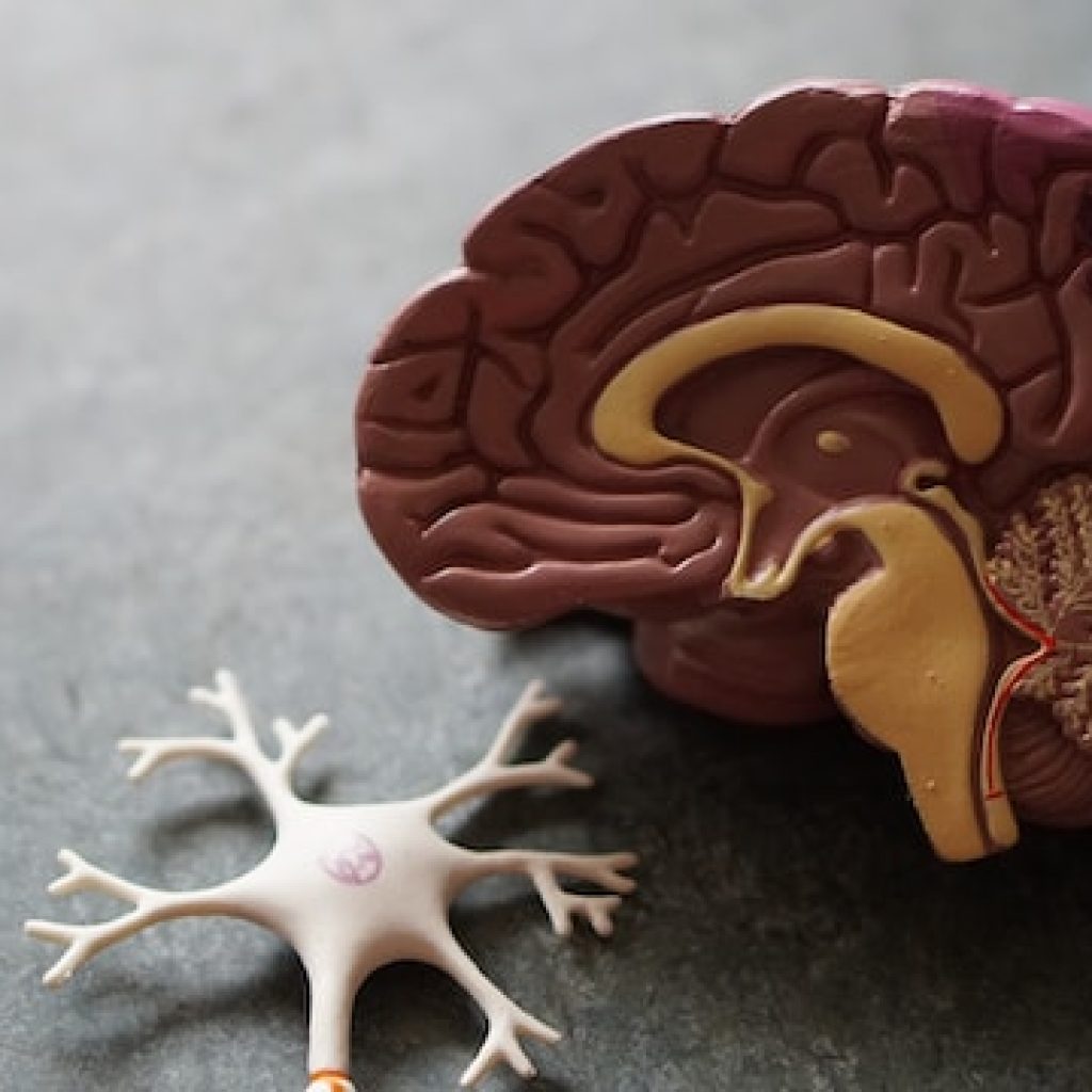 Cegah Alzheimer Sejak Dini, Lakukan 5 Cara Ini!