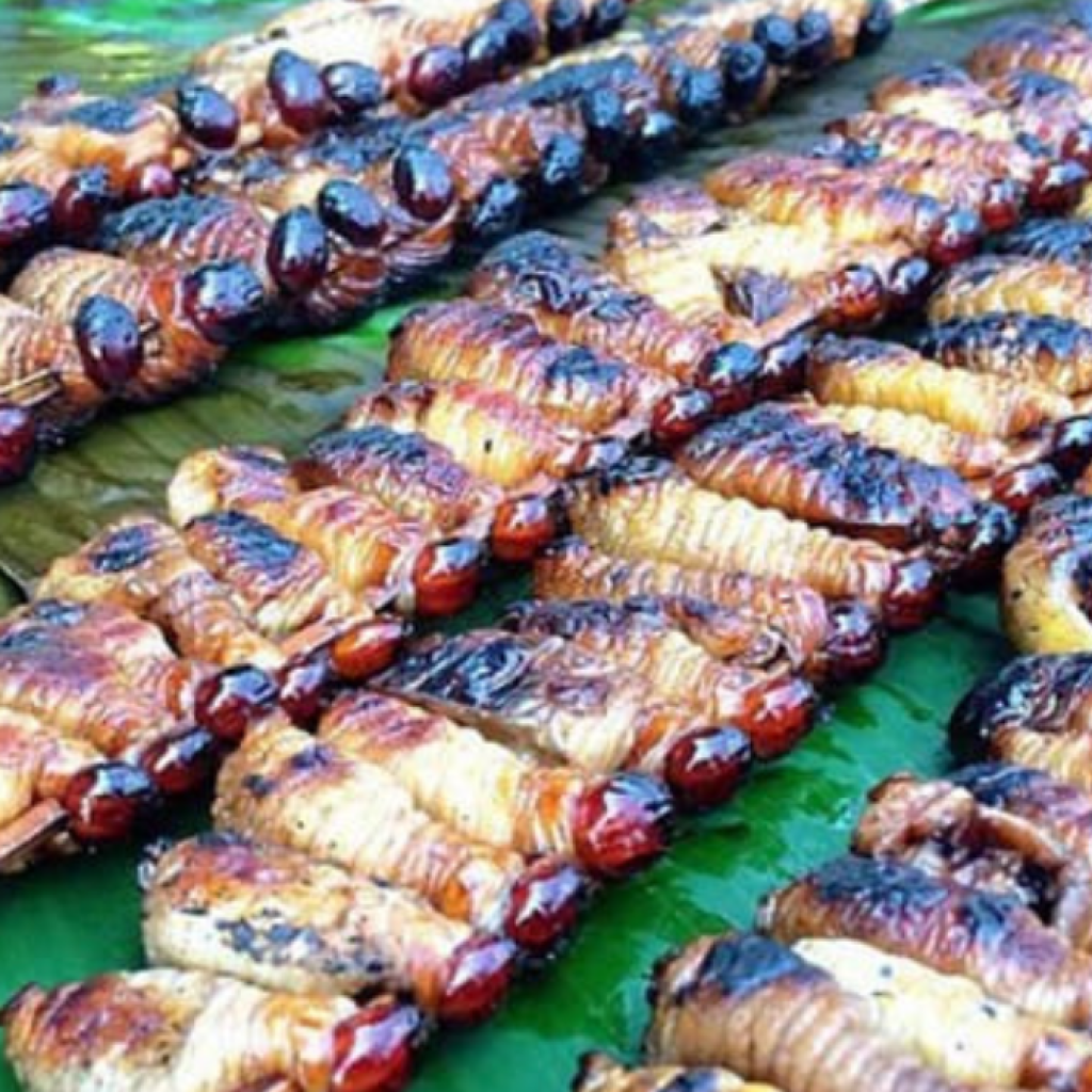 Kuliner khas Merauke, sate ulat sagu yang kaya akan protein. Foto: bknpdiperjuangan.id