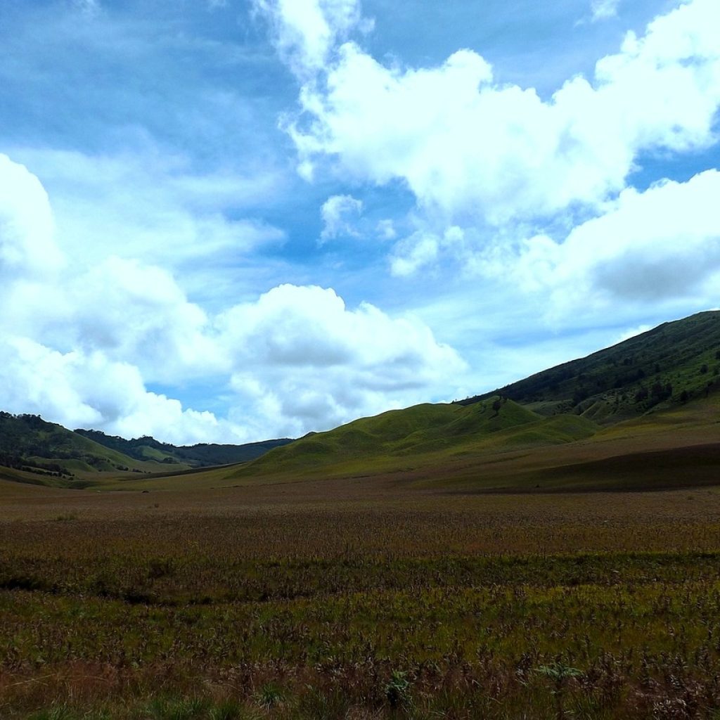 Menilik Pesona Bukit Teletubbies Bromo yang Viral karena Terbakar Flare