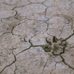 Pakar Geologi Buka Suara soal Munculnya Semburan Air Panas di Bawean Usai Gempa Tuban 