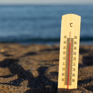 BMKG Ingatkan Suhu Panas Mencapai 38,4 Derajat di Beberapa Wilayah, Sampai Kapan Berlangsung?